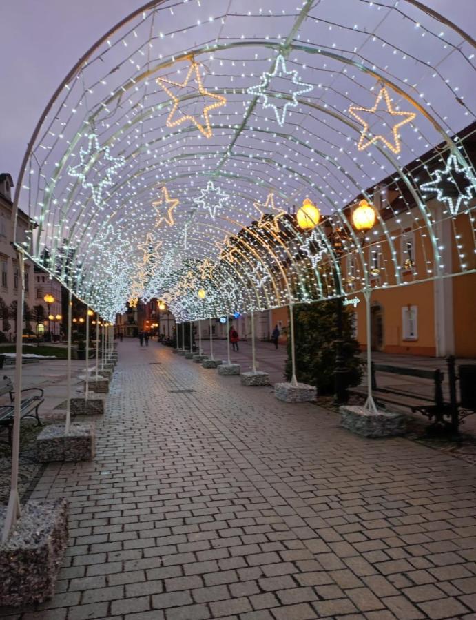 Appartement Apartament Zielone Tarasy - Pck 34 à Jelenia Góra Extérieur photo